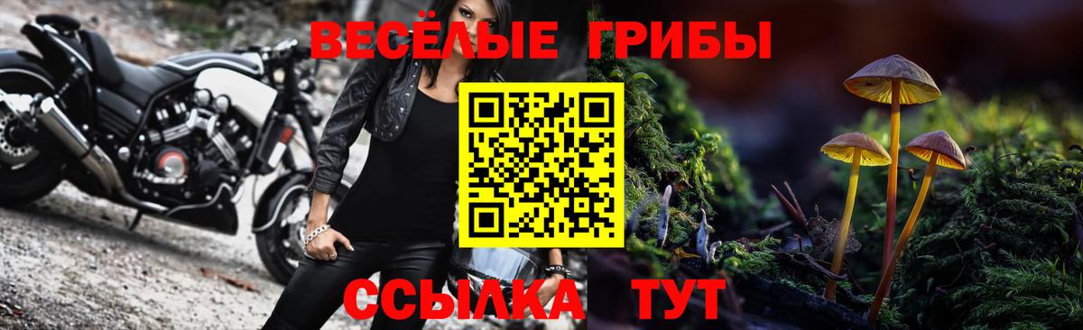 Псилоцибиновые грибы мицелий Первоуральск